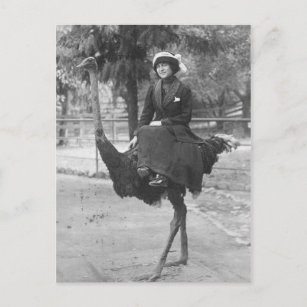 Carte Postale Victorienne Étrange Femme À cheval Ostrich