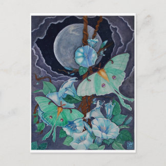 Carte Postale Vida de la Luna