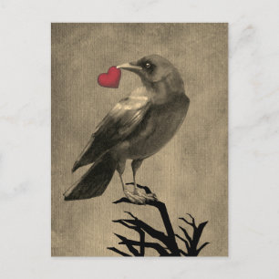 Carte postale vide Crow Love