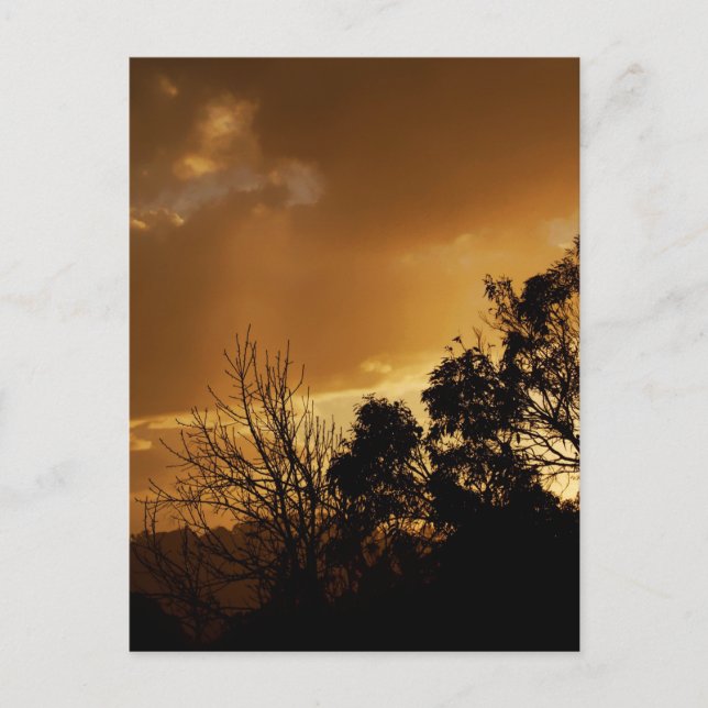 Carte postale Vie Art (Devant)