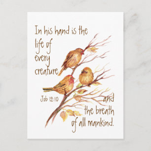 Carte Postale Vie inspirante de chaque Citation de créature