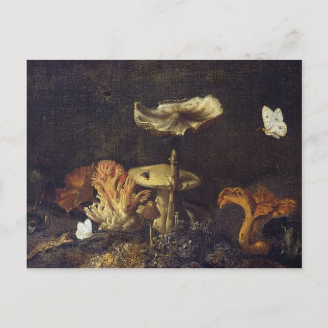 Carte Postale Vie morte avec des champignons et des papillons (Devant)
