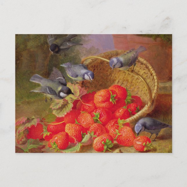 Carte Postale Vie morte avec fraises et bleuets (Devant)