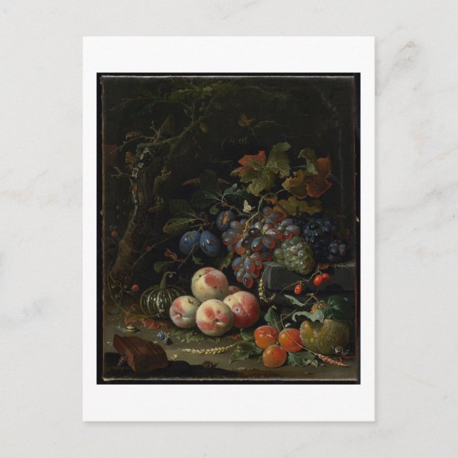 Carte Postale Vie morte avec fruits, feuillage et insectes, c.16 (Devant)