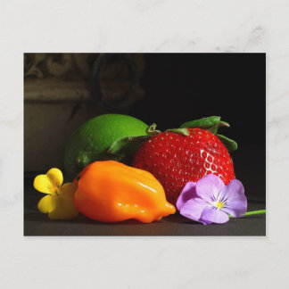 Carte Postale vie morte-fruitière