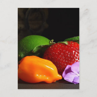 Carte Postale vie morte-fruitière