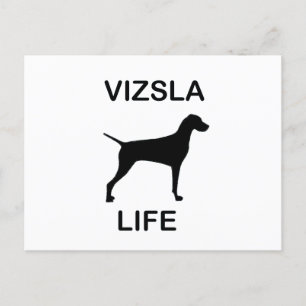 Carte Postale vie vizsla