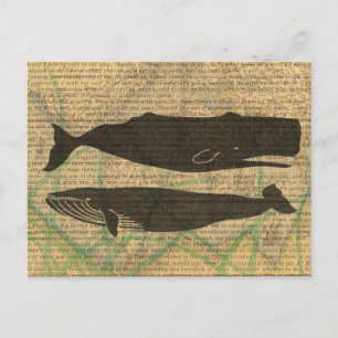 Carte Postale Vieille Baleine Nautilique Vieille Océan Vie Mari