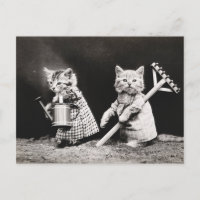 Vieille photo de chats jardiniers