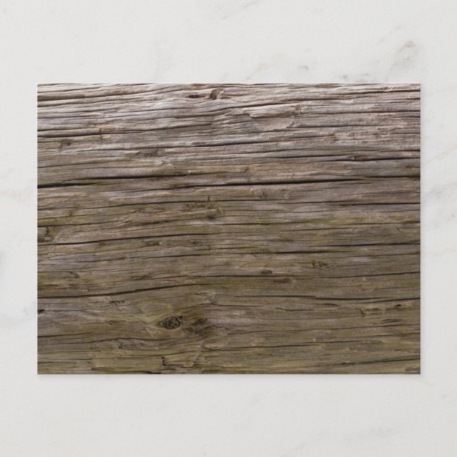 Carte Postale Vieille texture de log (Devant)