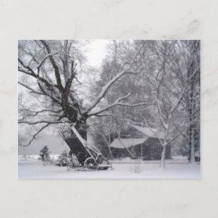Carte Postale Vielle grange et chêne en hiver rural Photo neige