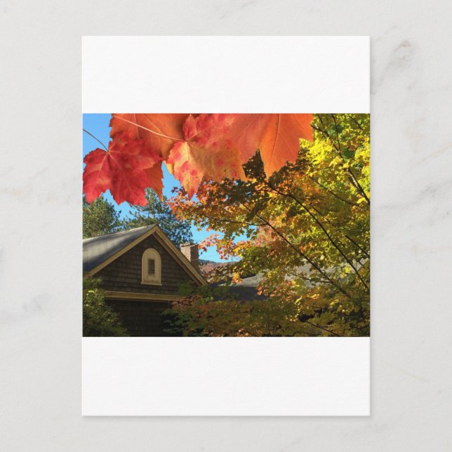 Carte postale Vielle Grange Foliage (Devant)