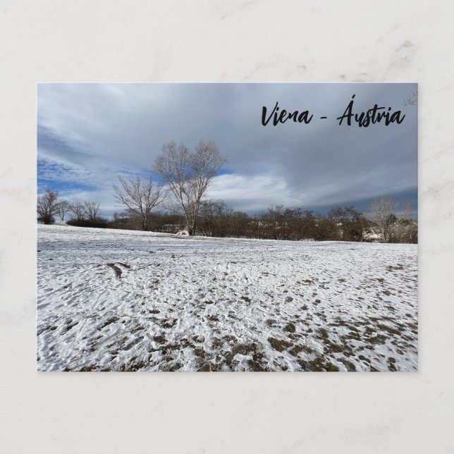 Carte Postale Vienne - Autriche  (Devant)