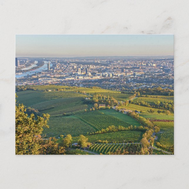 Carte Postale Vienne, Autriche, Panorama du Kahlenberg (Devant)