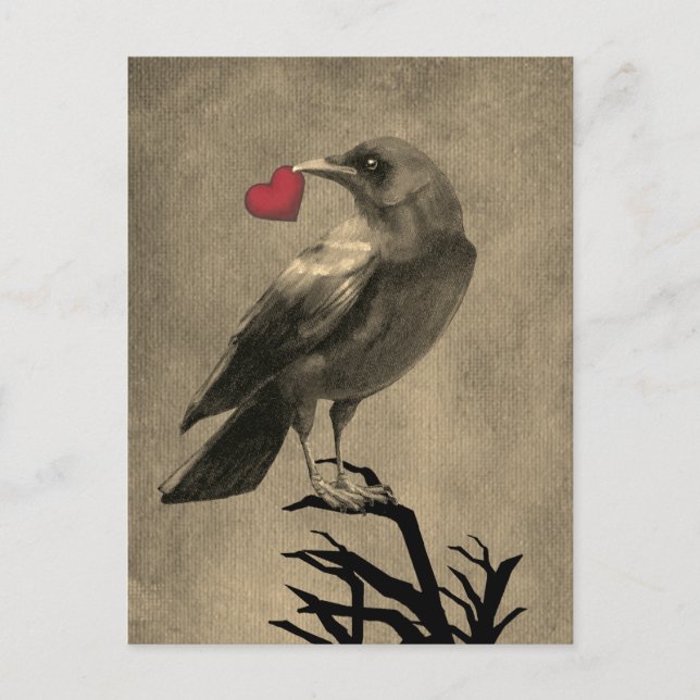 Carte postale vierge avec amour de corbeau (Devant)