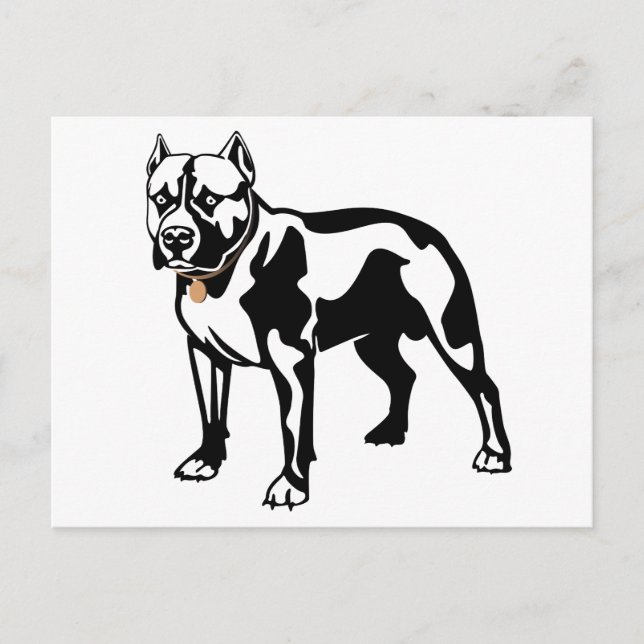 Carte postale vierge de chiot Pit Bull (Devant)