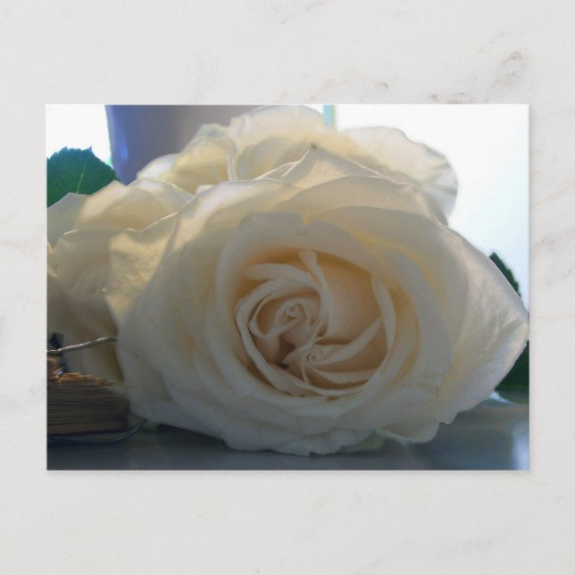 Carte postale vierge de série "Classic White" (Devant)