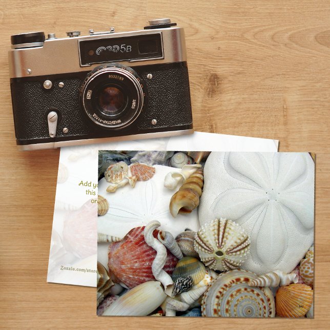 Carte postale vierge Deux dollars de sable (Créateur téléchargé)