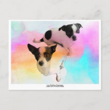 Carte postale vierge disco Zoey & Gracie !
