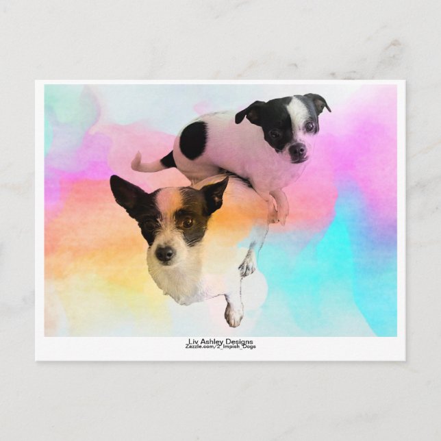 Carte postale vierge disco Zoey & Gracie ! (Devant)