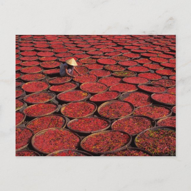 Carte Postale Vietnam. Bonbons à sécher dans des paniers sous (Devant)