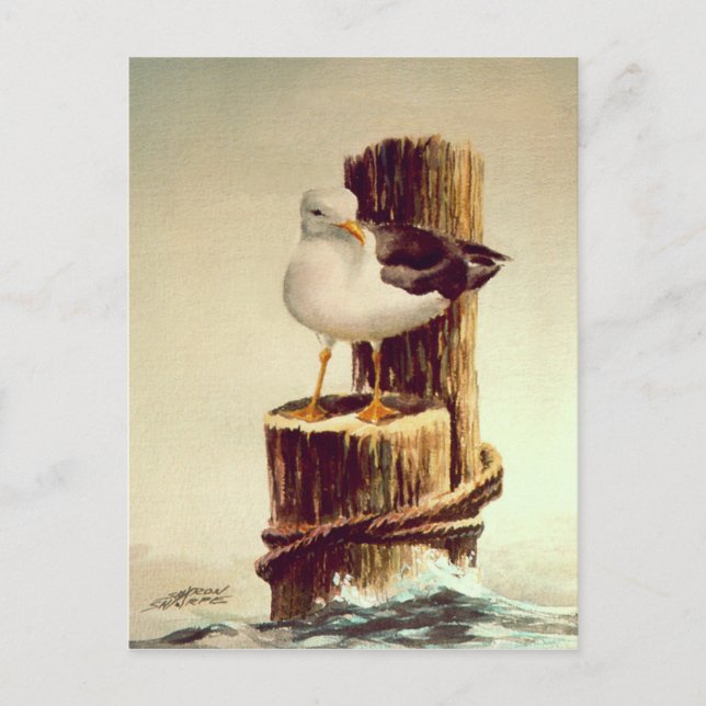 Carte Postale VIEUL HOMME SEAGULL par SHARON SHARPE (Devant)