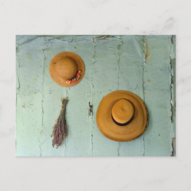 Carte Postale Vieux Casquettes de paille (Devant)
