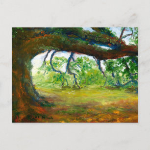 Carte Postale Vieux chêne énorme de la Louisiane