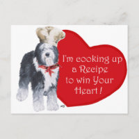 Vieux chien de berger anglais Chef d'amour