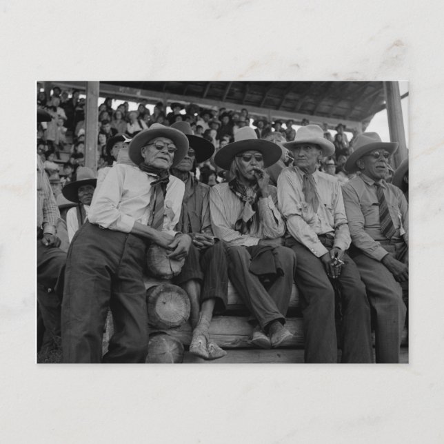 Carte Postale Vieux Cowboys au Rodeo Photo Vintage (Devant)