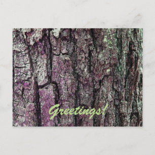 Carte Postale Vieux écorce de pin avec des salutations de texte