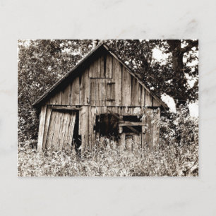 Carte Postale Vieux hangar de ferme