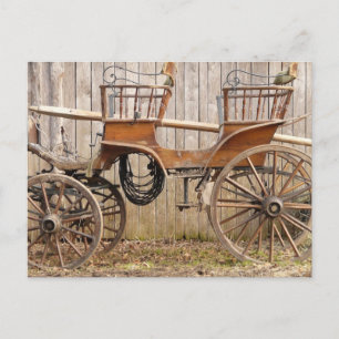 Carte Postale Vieux Horse Coach Buggy