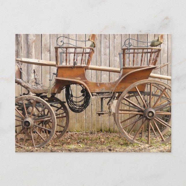 Carte Postale Vieux Horse Coach Buggy (Devant)
