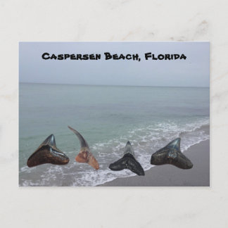 Carte Postale Vieux requin fossilisé Dents Floride Plage Trésors