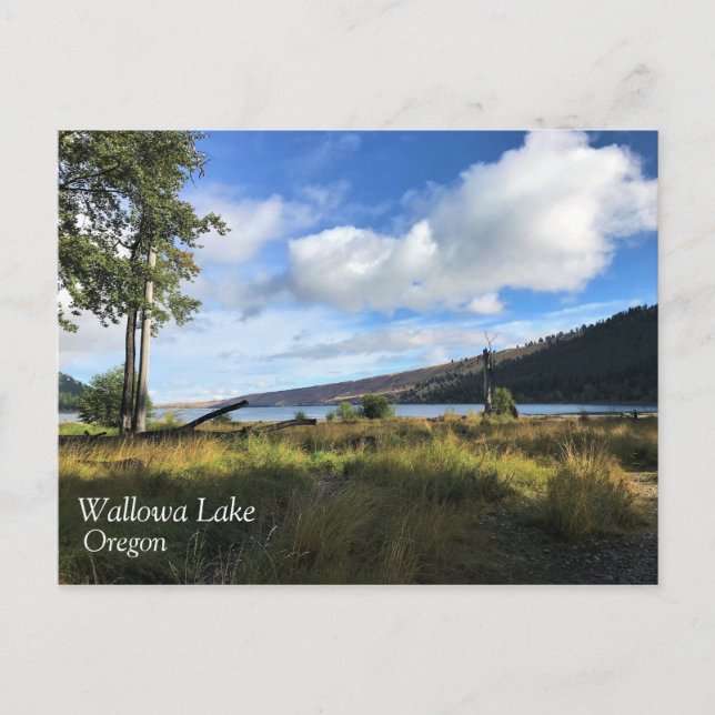Carte Postale View of Wallowa Lake (Devant)