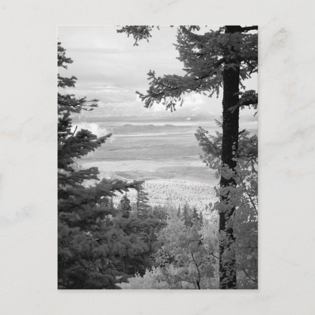 Carte Postale View west from crest of Sandia, Mountains, (Devant)