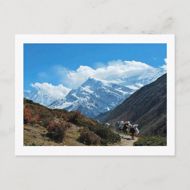 Carte Postale Views from Nepal on way to MOUNT EVEREST (Devant)