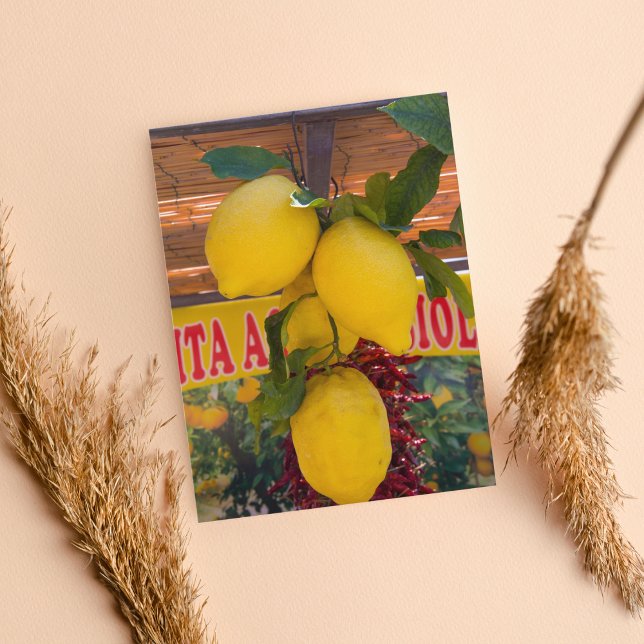 Carte Postale Vigne de citron à Positano Italie (Créateur téléchargé)