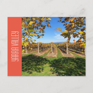 Carte Postale vignes d'automne de la vallée de yarra