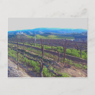 Carte Postale Vignoble
