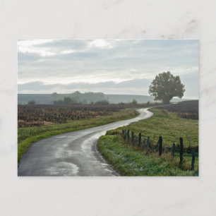 Carte Postale Vignoble à Lantignié, département du Rhône