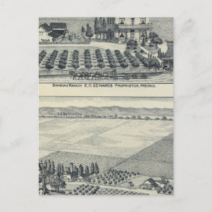 Carte Postale Vignoble de Haie Row, Fresno
