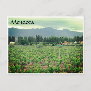 Carte Postale vignoble de mendoza andes