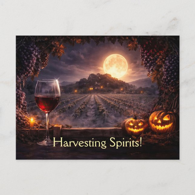 Carte Postale Vignoble de vin de l'Halloween Châteauneuf-du-Pape (Devant)