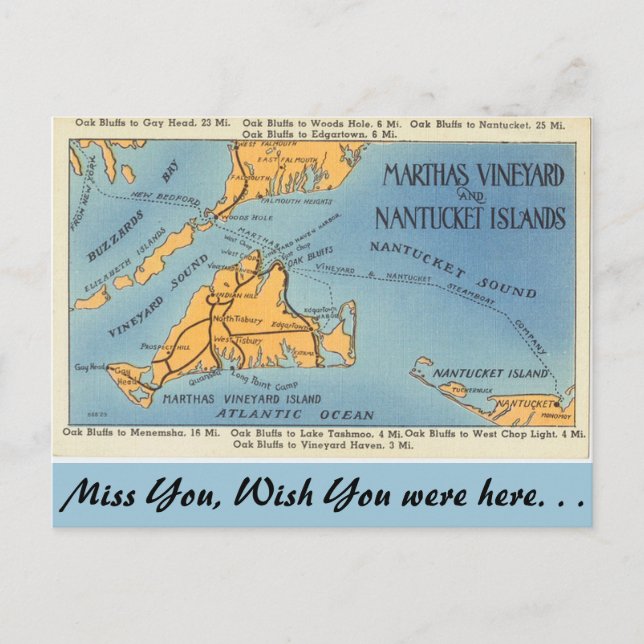 Carte Postale Vignoble du Massachusetts Marthas, Îles Nantucket (Devant)