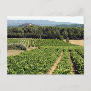 Carte Postale Vignoble en France