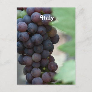 Carte Postale Vignoble en Italie