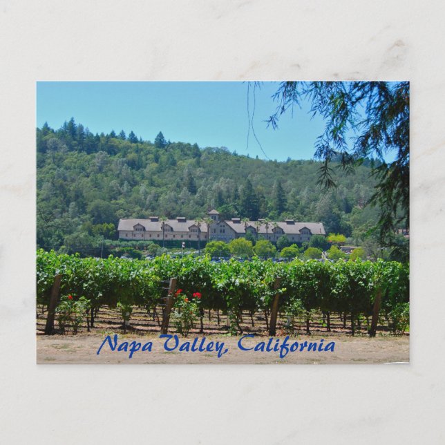 Carte Postale Vignoble Napa Valley California (Devant)