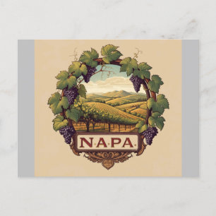 Carte Postale Vignoble Napa Valley Souvenir